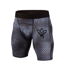 Load image into Gallery viewer, 2018 New Quick-drying Fitness Shorts Men&#39;s Leggings